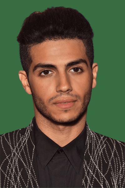 مینا مسعود
