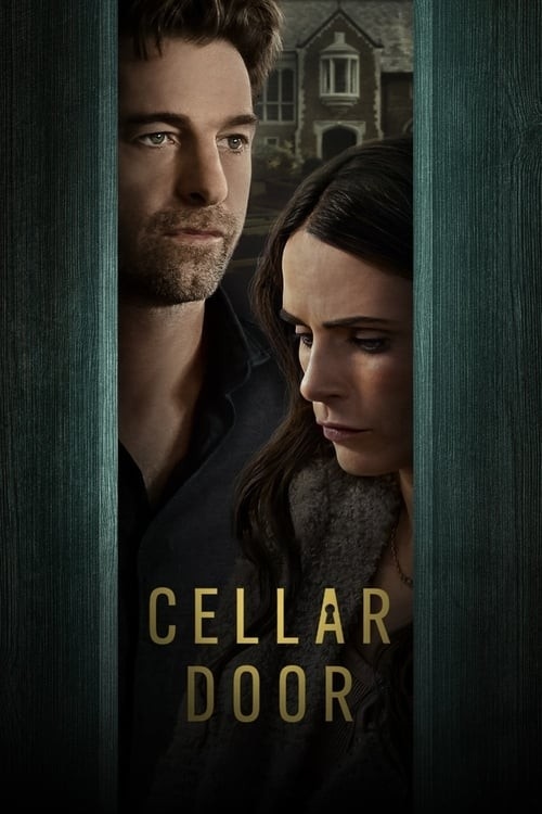 درب زیرزمین